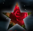 Blood Roses: A B/A Shipper site